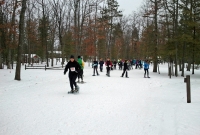 Bigfoot Boogie Snowshoe Race --  Snowshoers finding their groove