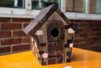 Bill's and Birdhouses 2015-5