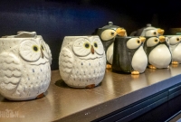 Birthday Specials In Ann Arbor-13