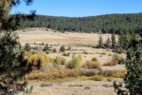 Bizz Johnson 50k - Susanville - 2014