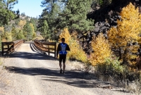 Bizz Johnson 50k - Susanville - 2014