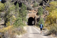 Bizz Johnson 50k - Susanville - 2014