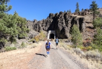 Bizz Johnson 50k - Susanville - 2014
