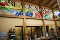 Interior mural at Black Star Farms