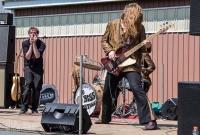 Boss Mustangs - Springfest - 2015-29