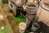 Brewing-With-Stiggs-2023-2