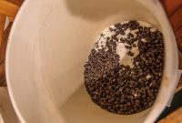 Brewing-With-Stiggs-2023-3