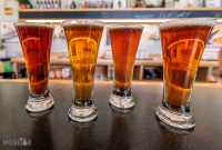 Brewery-Terra-Firma-Traverse-City-14