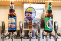 Brewery-Terra-Firma-Traverse-City-18