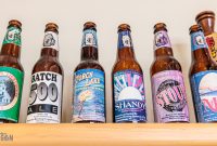 Brewery-Terra-Firma-Traverse-City-20