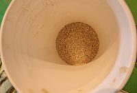 Brewing-with-Stiggs-2022-13