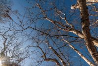 Brewing-with-Stiggs-2022-77