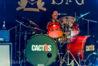 Cactus-MagicBag-Ferndale_MI-20150412-19
