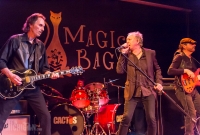 Cactus-MagicBag-Ferndale_MI-20150412-20