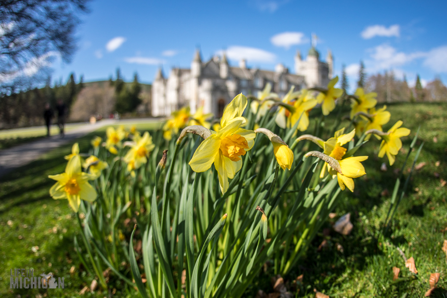 Cairngorms 2018-92