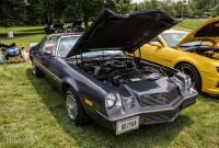 Camaro Fest 2015 - Ypsilanti -19