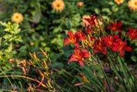 CarpRiverGarden-Negaunee-2023-12