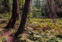 CarpRiverGarden-Negaunee-2023-17
