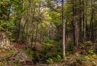 CarpRiverGarden-Negaunee-2023-23