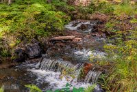 CarpRiverGarden-Negaunee-2023-24