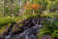 CarpRiverGarden-Negaunee-2023-25