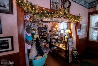 Chamberlin's Ole Forest Inn - 2017-33