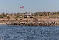 Charleston-2020-121