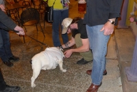 Charlie Fest 50