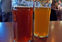 Chelsea Ale IPA and White Ale