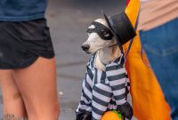 Chelsea-Sounds-and-Sights-July-172025-54