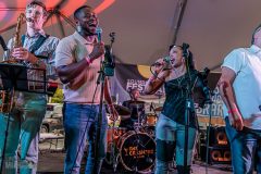 Chelsea-Sounds-and-Sights-with-GIG-2026-182