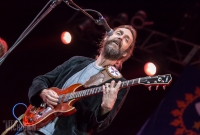 Chris Robinson Brotherhood