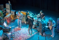 Chris Robinson Brotherhood