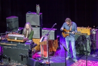 Chris Robinson Brotherhood