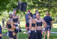 DWD-2016-48