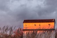 Darkhorse-4Elf-2021-92