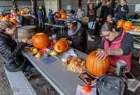 Dark Horse Pumpkins-16