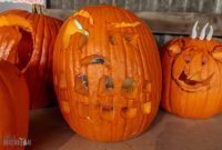 Dark Horse Pumpkins-24