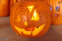 Dark Horse Pumpkins-32