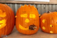 Dark Horse Pumpkins-35