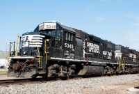 Dark Horse Spring Smoke Off