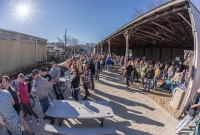 Dark Horse Staff Brew-off-24