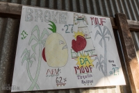 Dark Horse Staff Brew-off-52