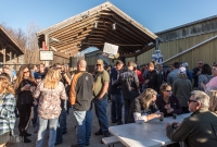 Dark Horse Staff Brew-off-56