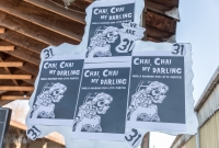 Dark Horse Staff Brew-off-58