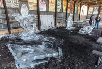 Dark-Horse-Staff-Brew-off-2019-15