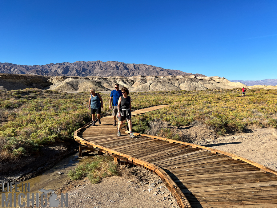 Death Valley-2021-145