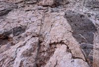 DeathValley-2021-118