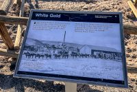 DeathValley-2021-121