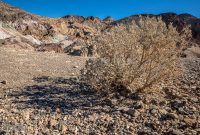 DeathValley-2021-21